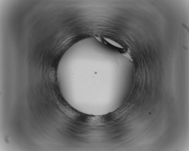 X0000096660092200803041209