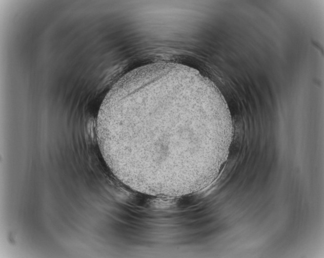 X0000096660094200803041210