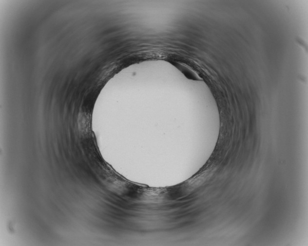 X0000096660096200803041210