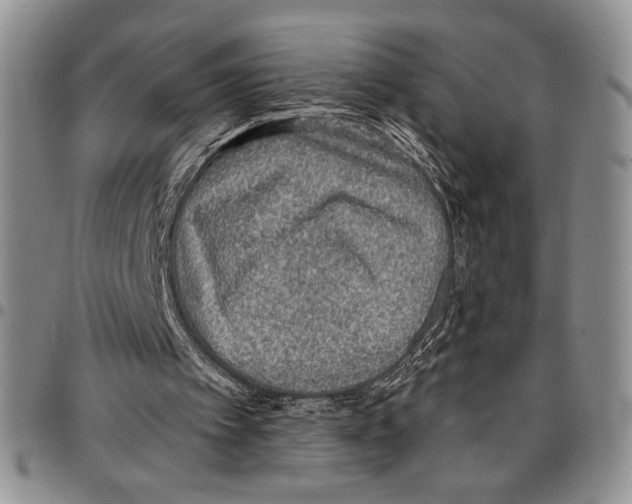 X0000096660097200803041209