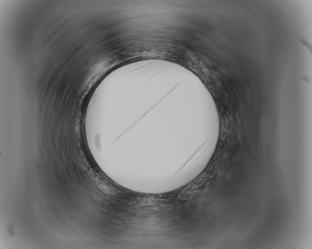 X0000096660098200803041209