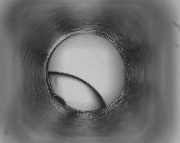 X0000096660100200803041209