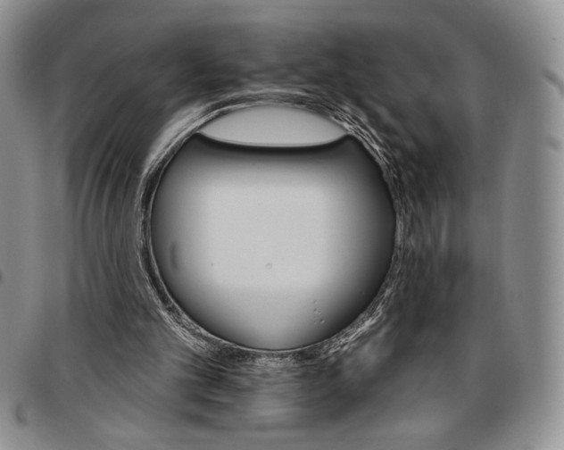 X0000096660101200803041209