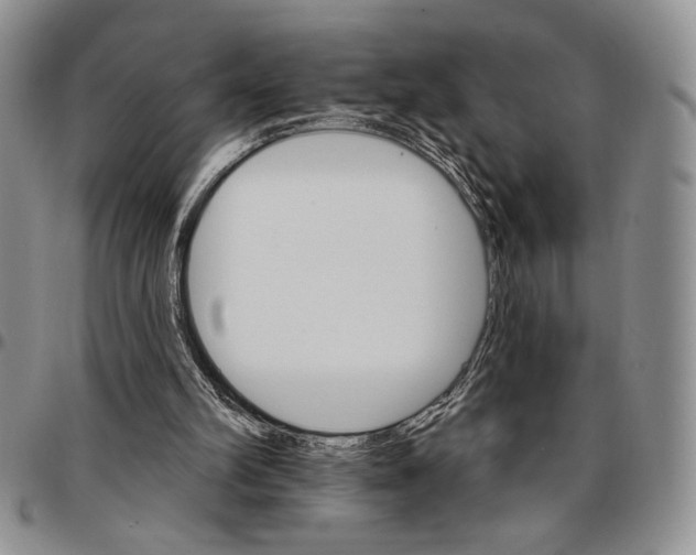 X0000096660102200803041209