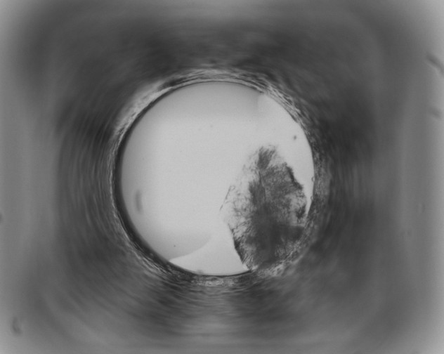 X0000096660103200803041209