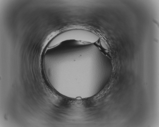 X0000096660104200803041209