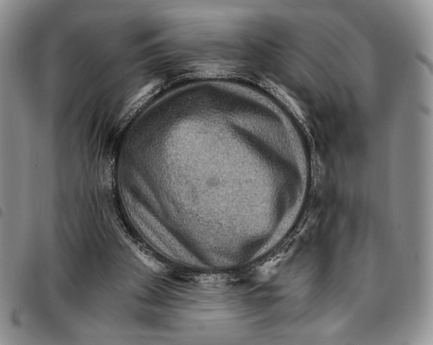 X0000096660105200803041209