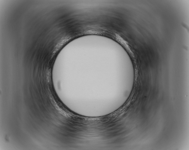 X0000096660106200803041209