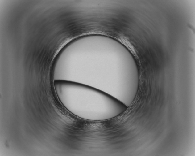 X0000096660108200803041209