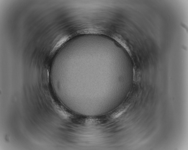 X0000096660109200803041209