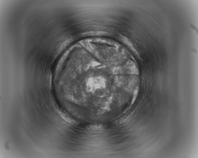 X0000096660110200803041209