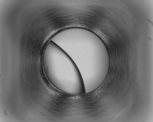 X0000096660112200803041209