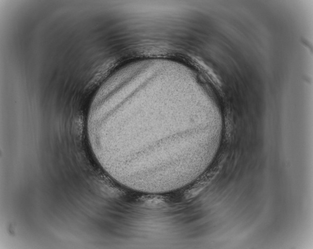 X0000096660113200803041209