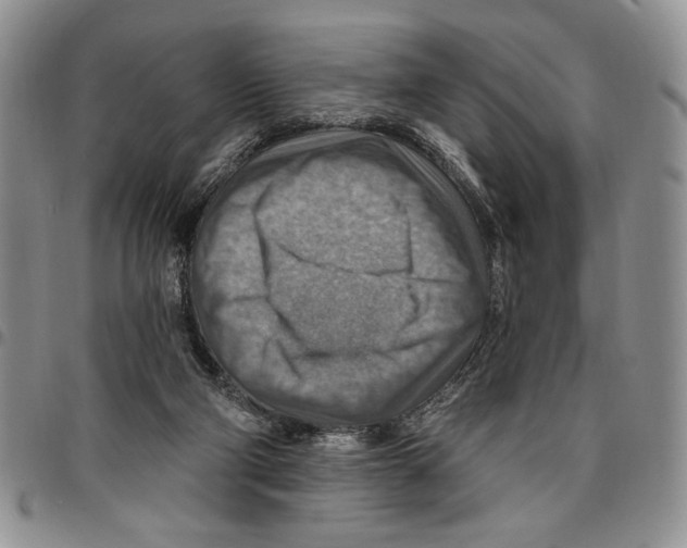 X0000096660114200803041209