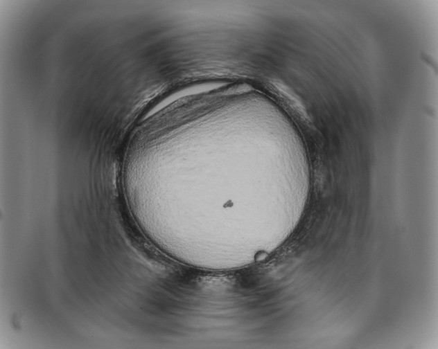 X0000096660115200803041209