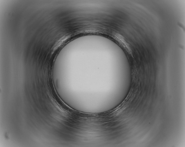 X0000096660116200803041209