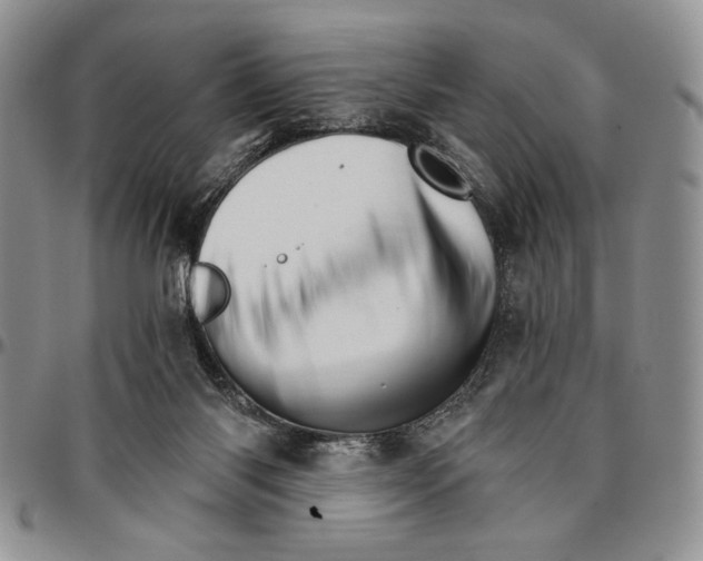 X0000096660118200803041209