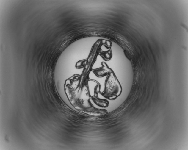 X0000096660121200803041209