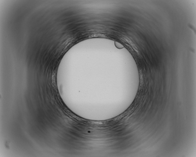 X0000096660123200803041209