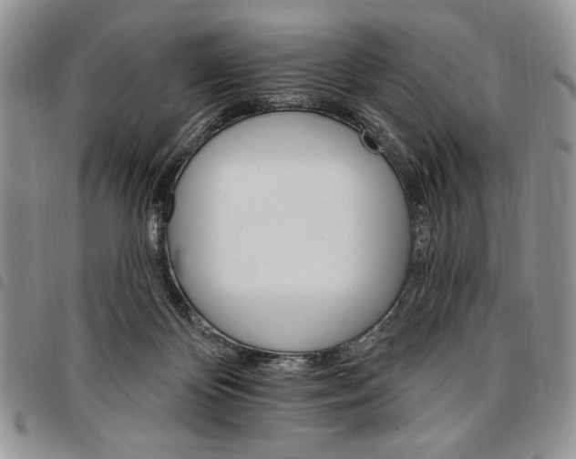 X0000096660124200803041209