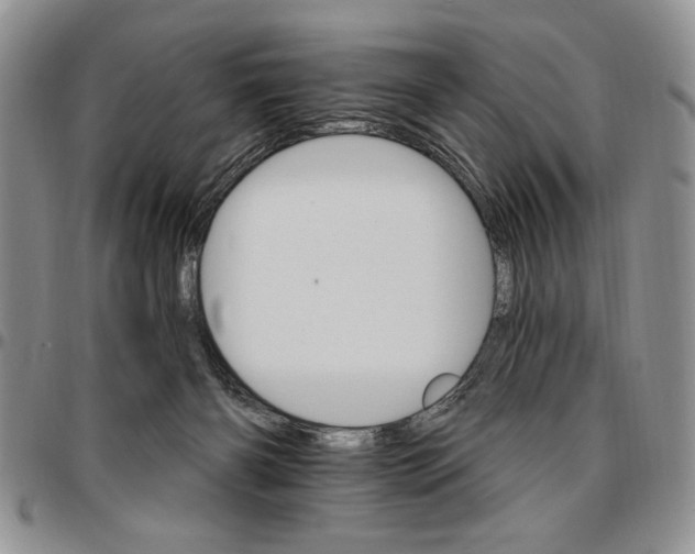 X0000096660126200803041209