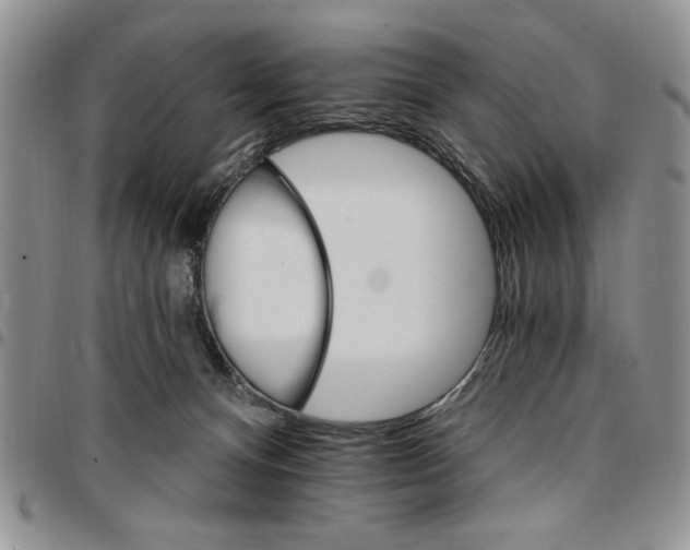 X0000096660128200803041209