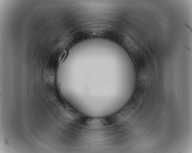 X0000096660129200803041209