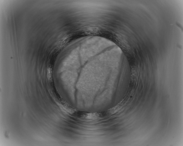 X0000096660130200803041209