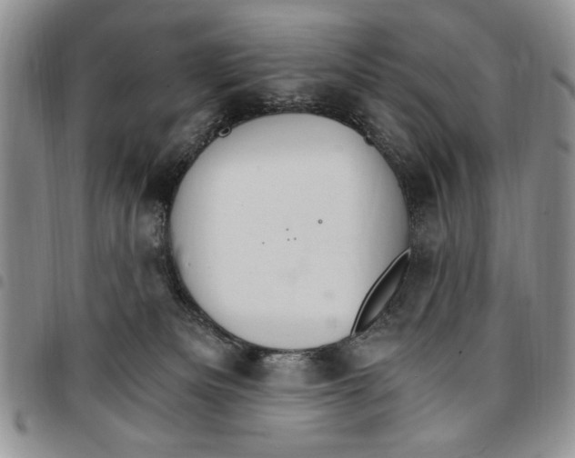 X0000096660133200803041208