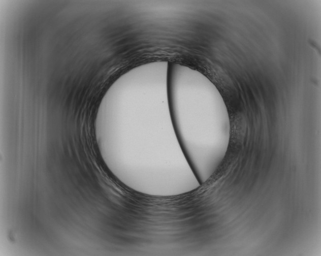 X0000096660137200803041208