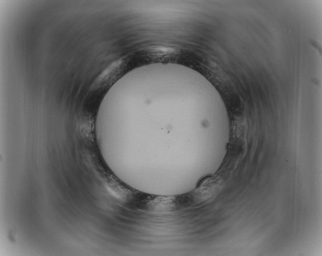 X0000096660138200803041208