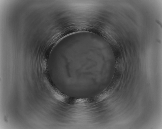 X0000096660139200803041208