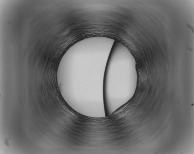 X0000096660141200803041208