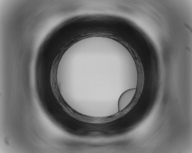 X0000096660142200803041208