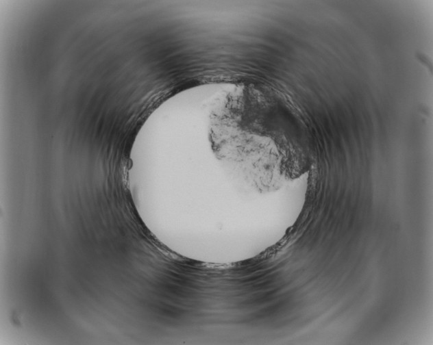 X0000096660143200803041208