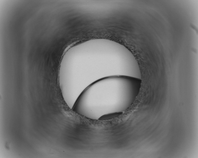 X0000096660144200803041208