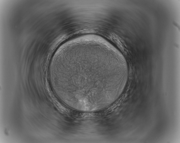 X0000096660145200803041207