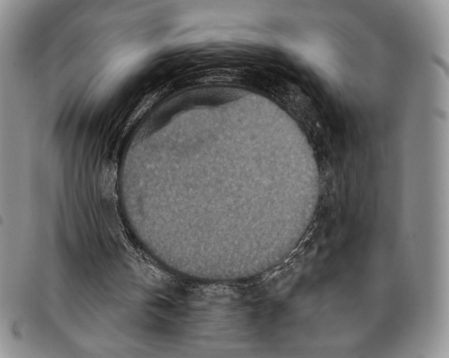 X0000096660146200803041208