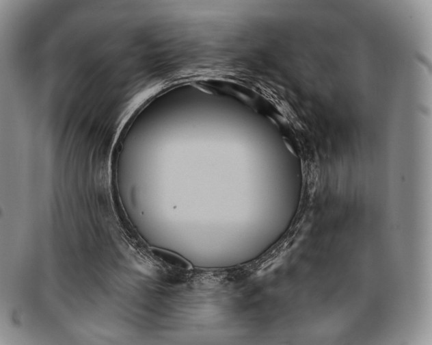 X0000096660148200803041208