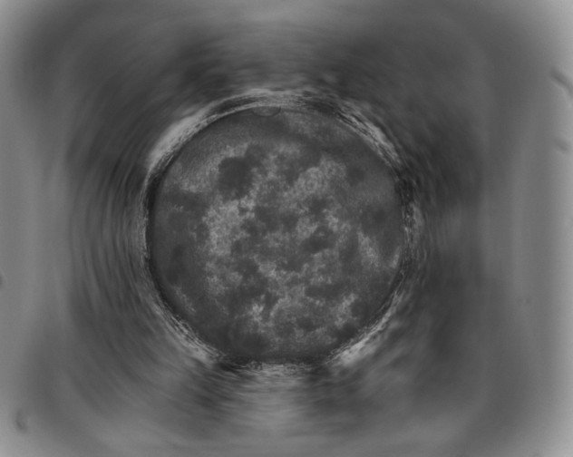 X0000096660149200803041208