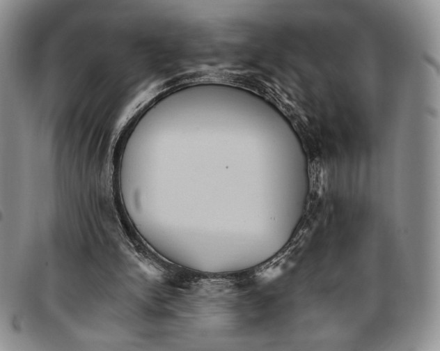 X0000096660150200803041208