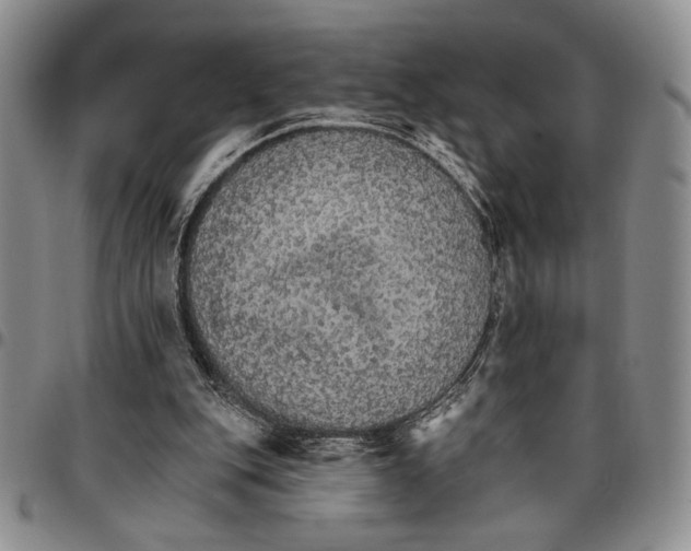 X0000096660151200803041208