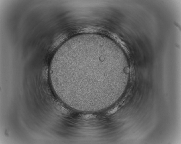 X0000096660153200803041208