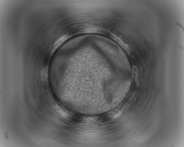 X0000096660155200803041208