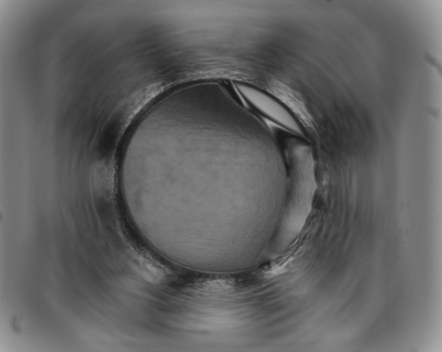 X0000096660156200803041208