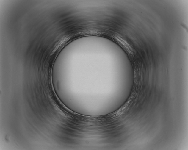 X0000096660158200803041208