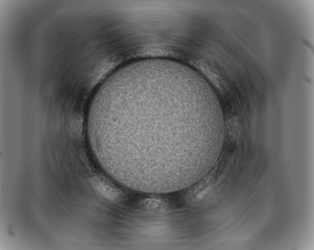 X0000096660159200803041208