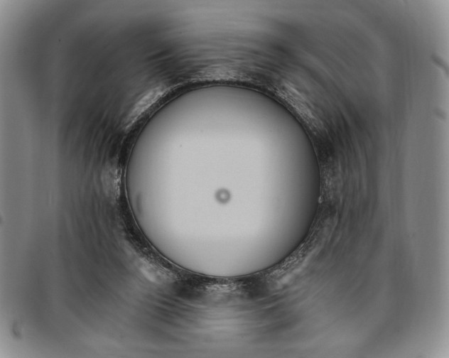 X0000096660160200803041208