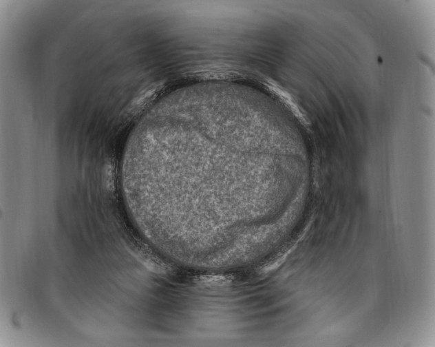 X0000096660161200803041208