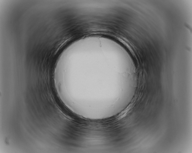 X0000096660162200803041208